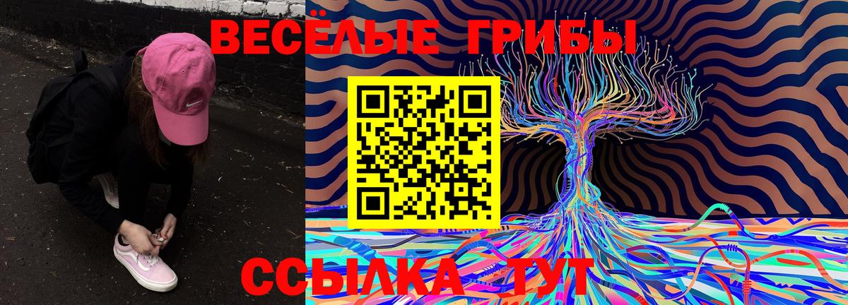 Галлюциногенные грибы Cubensis Можайск