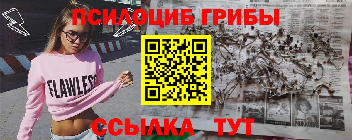 Псилоцибиновые грибы Magic Shrooms  Вход с VPN  Псилоцибиновые грибы Psilocybine cubensis  Можайск 